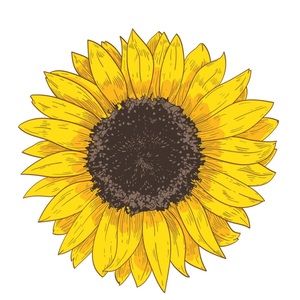 Meet your Posher, Sally